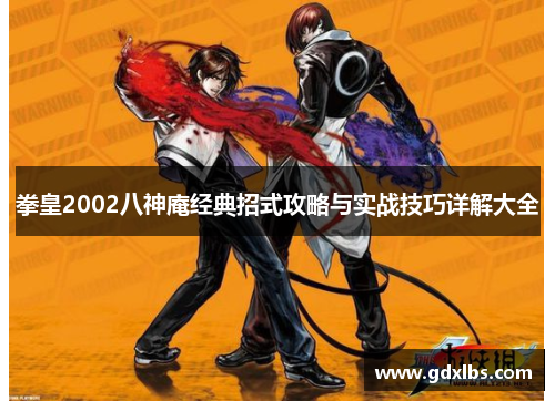 拳皇2002八神庵经典招式攻略与实战技巧详解大全